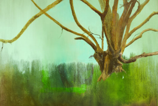 Emblems of Hope/Land of Plenty